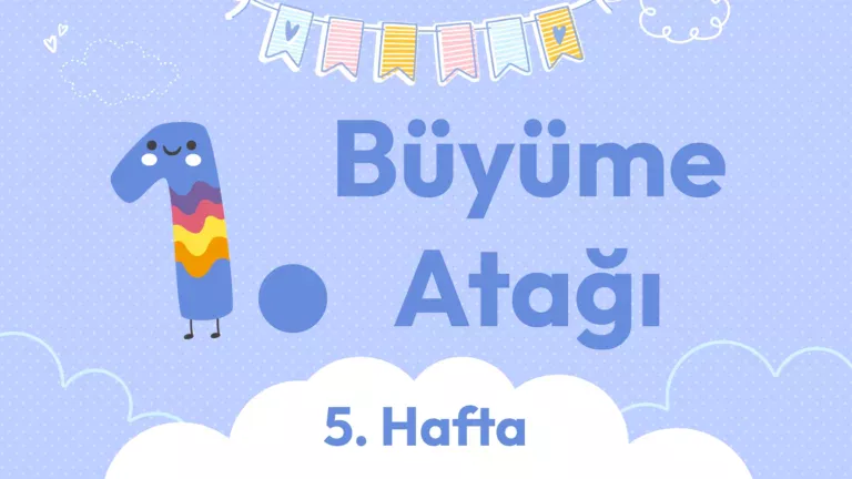 1. büyüme atağı