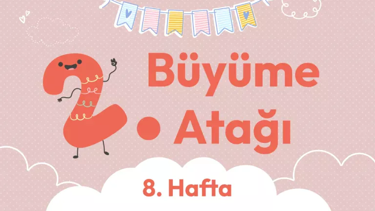 2. büyüme atağı